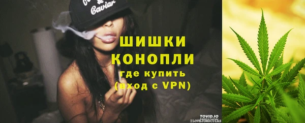 спиды Ладушкин