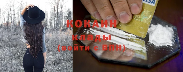 спиды Ладушкин