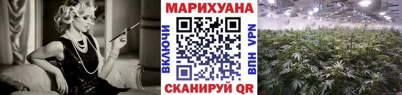 Бошки Шишки ГИДРОПОН  Липки 